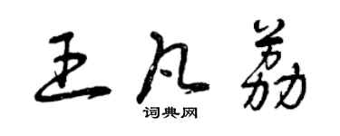 曾庆福王凡荔草书个性签名怎么写