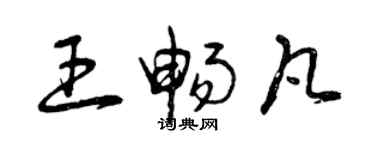 曾庆福王畅凡草书个性签名怎么写