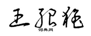 曾庆福王绍猛草书个性签名怎么写
