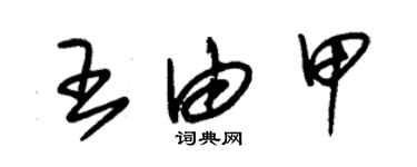 朱锡荣王由甲草书个性签名怎么写