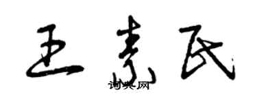 曾庆福王素民草书个性签名怎么写