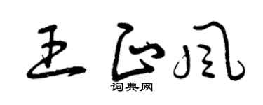 曾庆福王正风草书个性签名怎么写