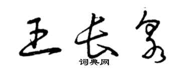 曾庆福王长泉草书个性签名怎么写