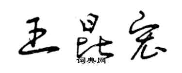 曾庆福王昆宏草书个性签名怎么写
