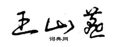 曾庆福王山燕草书个性签名怎么写