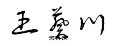 曾庆福王葵川草书个性签名怎么写