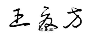 曾庆福王夏方草书个性签名怎么写