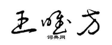 曾庆福王唯方草书个性签名怎么写