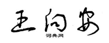 曾庆福王向安草书个性签名怎么写