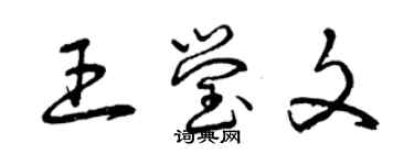 曾庆福王莹文草书个性签名怎么写
