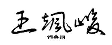 曾庆福王飒峻草书个性签名怎么写