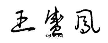 曾庆福王盛凤草书个性签名怎么写