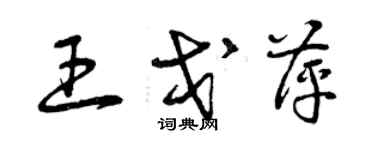 曾庆福王戈萍草书个性签名怎么写
