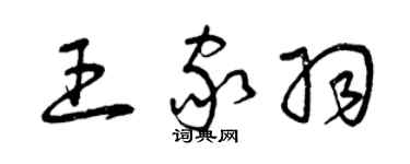 曾庆福王家羽草书个性签名怎么写