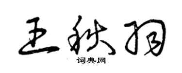 曾庆福王秋羽草书个性签名怎么写