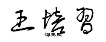 曾庆福王培习草书个性签名怎么写