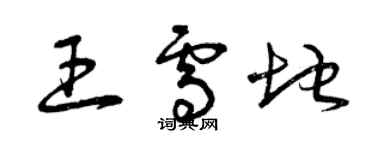 曾庆福王雪地草书个性签名怎么写