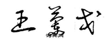 曾庆福王兰戈草书个性签名怎么写