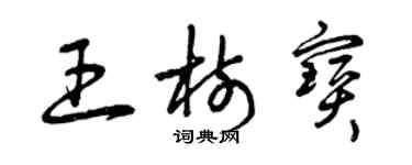 曾庆福王树宝草书个性签名怎么写