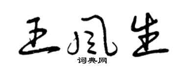 曾庆福王风生草书个性签名怎么写