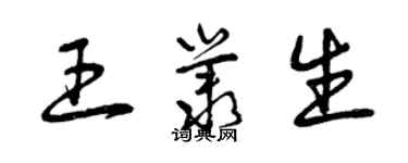 曾庆福王丛生草书个性签名怎么写