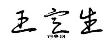 曾庆福王定生草书个性签名怎么写