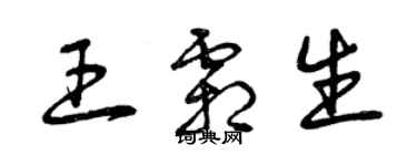 曾庆福王霜生草书个性签名怎么写