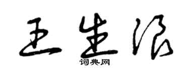 曾庆福王生浪草书个性签名怎么写