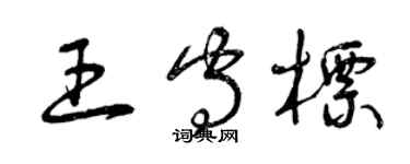 曾庆福王守标草书个性签名怎么写