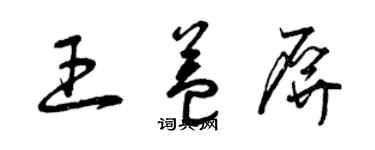 曾庆福王益屏草书个性签名怎么写