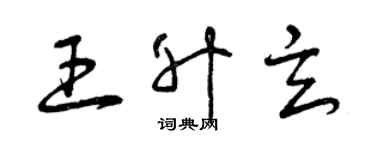 曾庆福王升玄草书个性签名怎么写