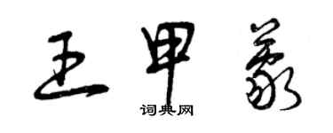 曾庆福王甲蒙草书个性签名怎么写