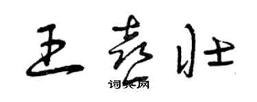 曾庆福王喜壮草书个性签名怎么写