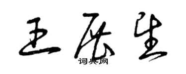 曾庆福王展望草书个性签名怎么写