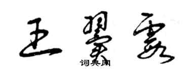 曾庆福王翼霞草书个性签名怎么写