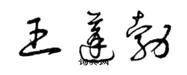 曾庆福王蓬勃草书个性签名怎么写