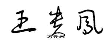 曾庆福王贵凤草书个性签名怎么写