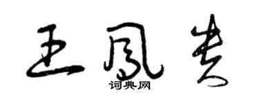 曾庆福王凤贵草书个性签名怎么写