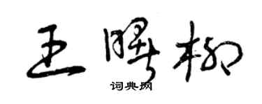 曾庆福王曙柳草书个性签名怎么写