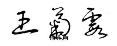 曾庆福王菊霞草书个性签名怎么写