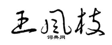 曾庆福王风枝草书个性签名怎么写