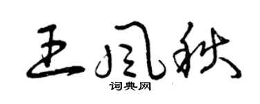 曾庆福王风秋草书个性签名怎么写