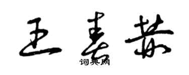 曾庆福王春赫草书个性签名怎么写