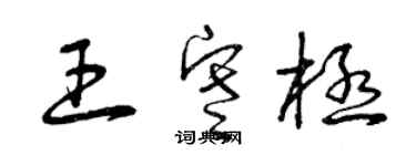 曾庆福王寒极草书个性签名怎么写