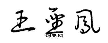 曾庆福王圣凤草书个性签名怎么写