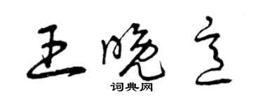 曾庆福王晚意草书个性签名怎么写