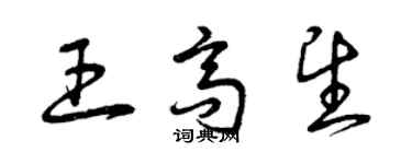 曾庆福王高望草书个性签名怎么写