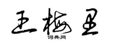 曾庆福王梅里草书个性签名怎么写