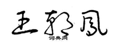 曾庆福王朝凤草书个性签名怎么写