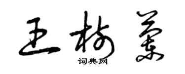 曾庆福王树兰草书个性签名怎么写